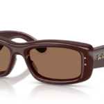 Marrone Scuro Trasparente
